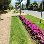 Nilema *