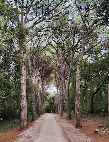 Nilema Appartamento