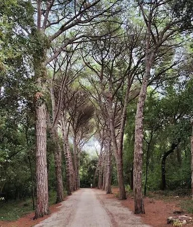 Nilema Apartamento